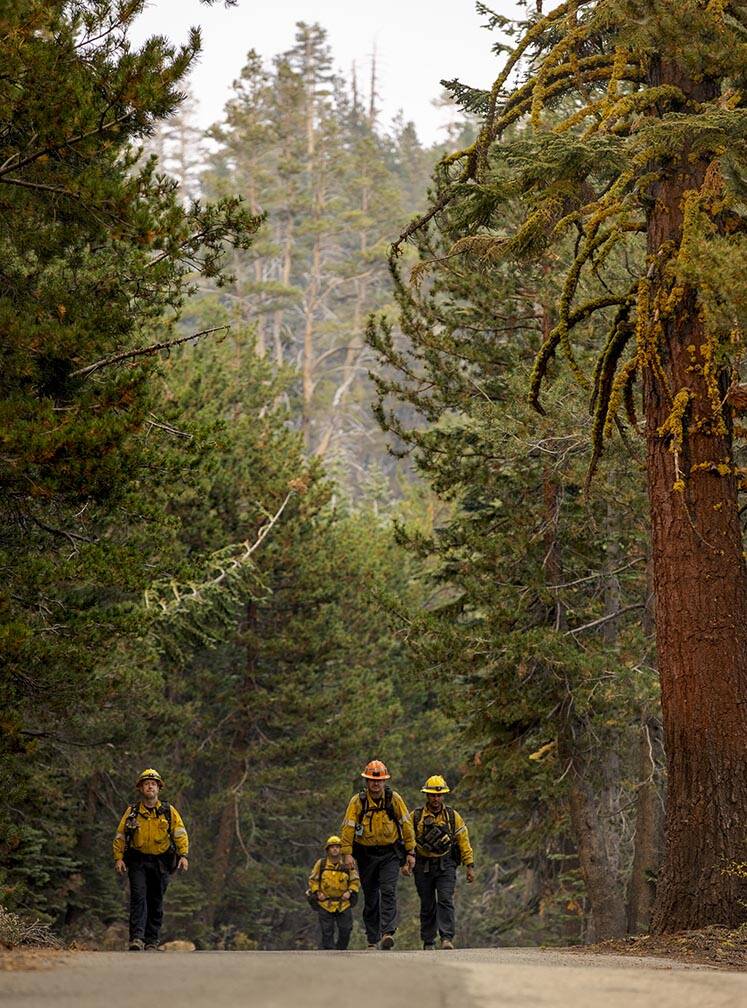 Division of Forestry wildland firefighters hike up to a ridge along SR 88 to look for spot fire ...