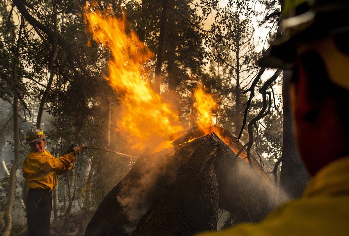 Division of Forestry wildland firefighters Neale Gonzales, left, and Sterling Whitecow attack a ...