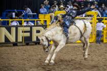 Zeke Thurston of Big Valley, Alberta, rides Damaged Goods in Saddlebronc during the Day 2 of th ...