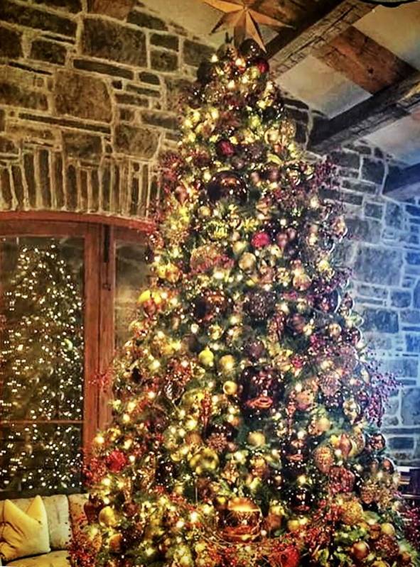 Most luxury homes have more than one tree. (Christopher Todd)