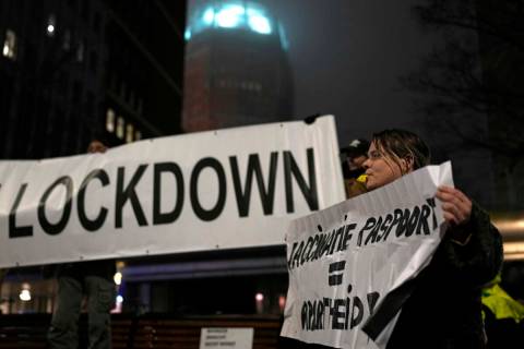 A protestor holds a banner during a small anti-COVID restriction demonstration in the Hague, th ...