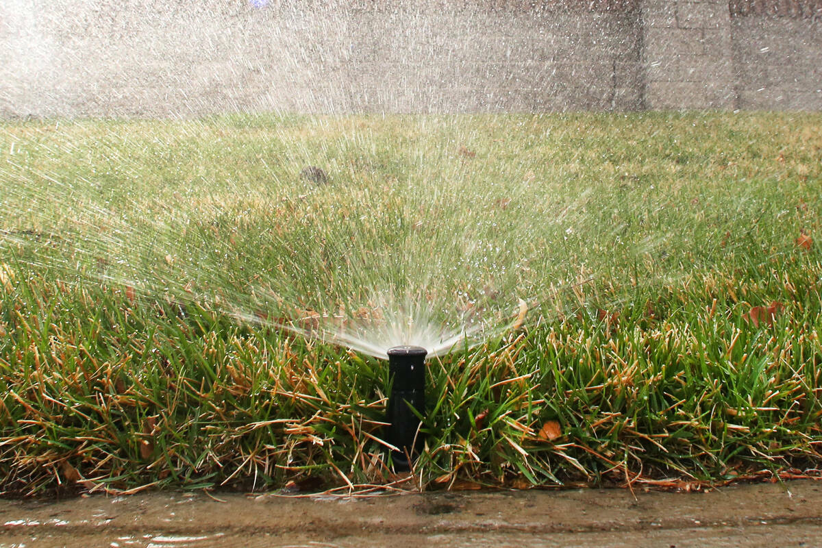 A sprinkler is on to water grass at Green Valley Parkway on Tuesday, March 5, 2019, in Henderso ...