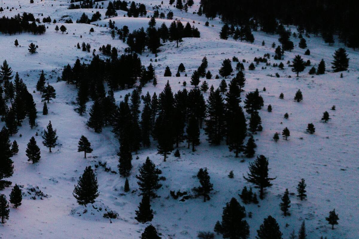 (The Associated Press)