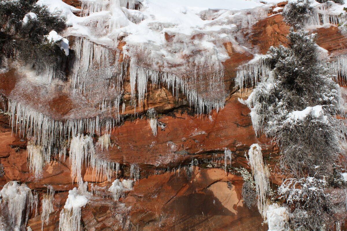 With so many seeps and springs in the park, when they freeze the sandstone often turns into a i ...
