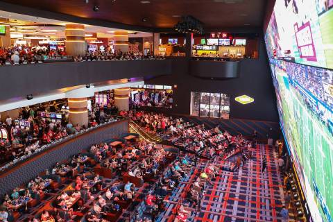 Guests ticker  the screens for the archetypal  week of the NFL play   astatine  the Sportsbook astatine  Circa successful  Las ...
