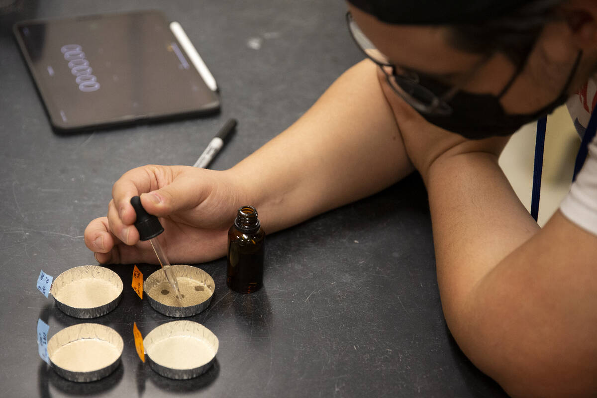 Nevada State College senior Zimri Mena conducts a soil hydration experiment as part his 16-week ...