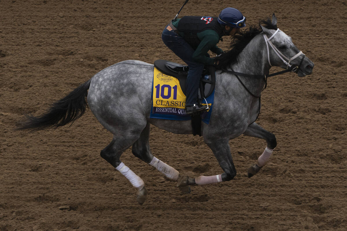 An exercise rider rides Essential Quality during morning workouts at Del Mar racetrack prior to ...