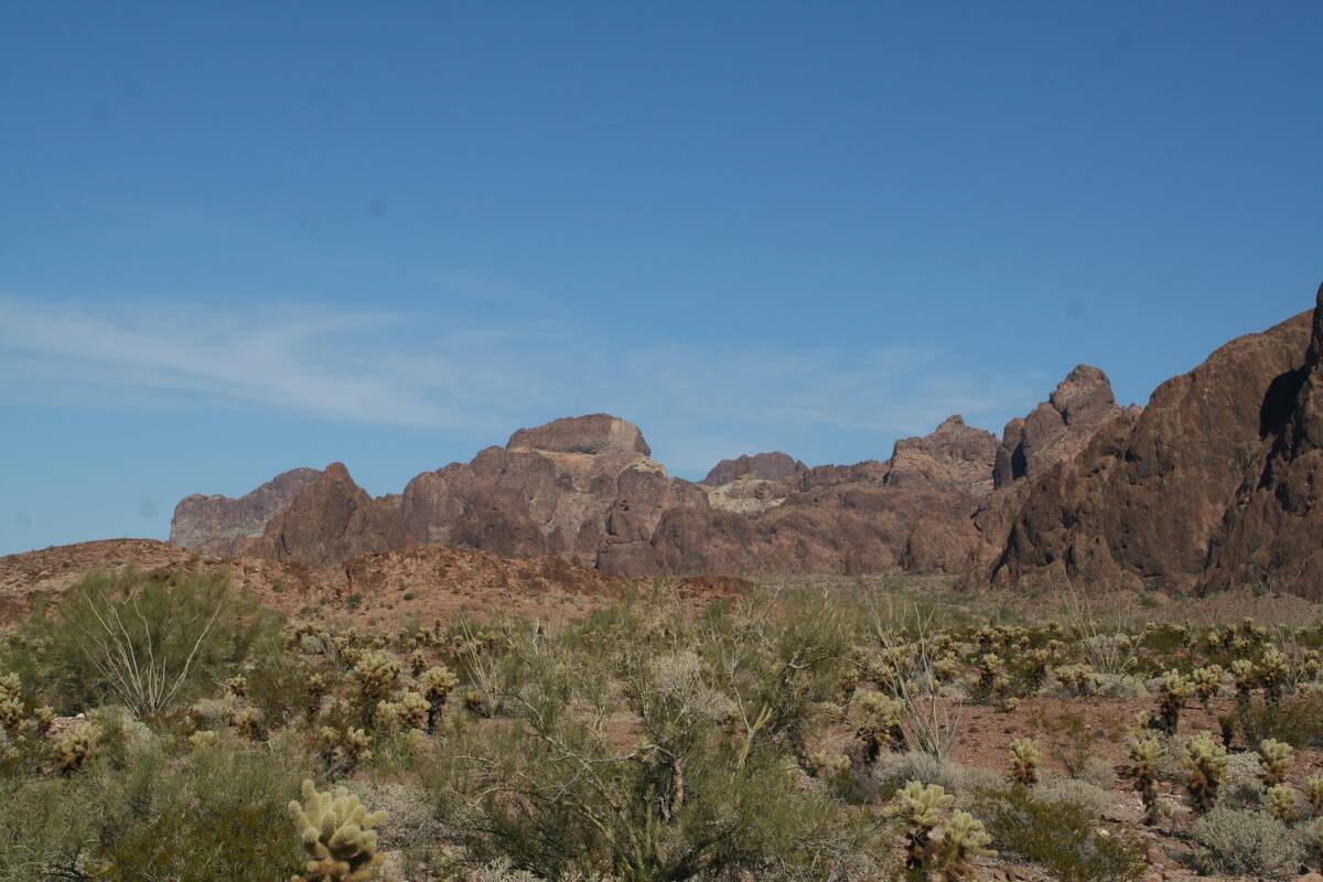 Kofa National Wildlife Refuge is located about 18 miles south of Quartzsite, Arizona. (Deborah ...