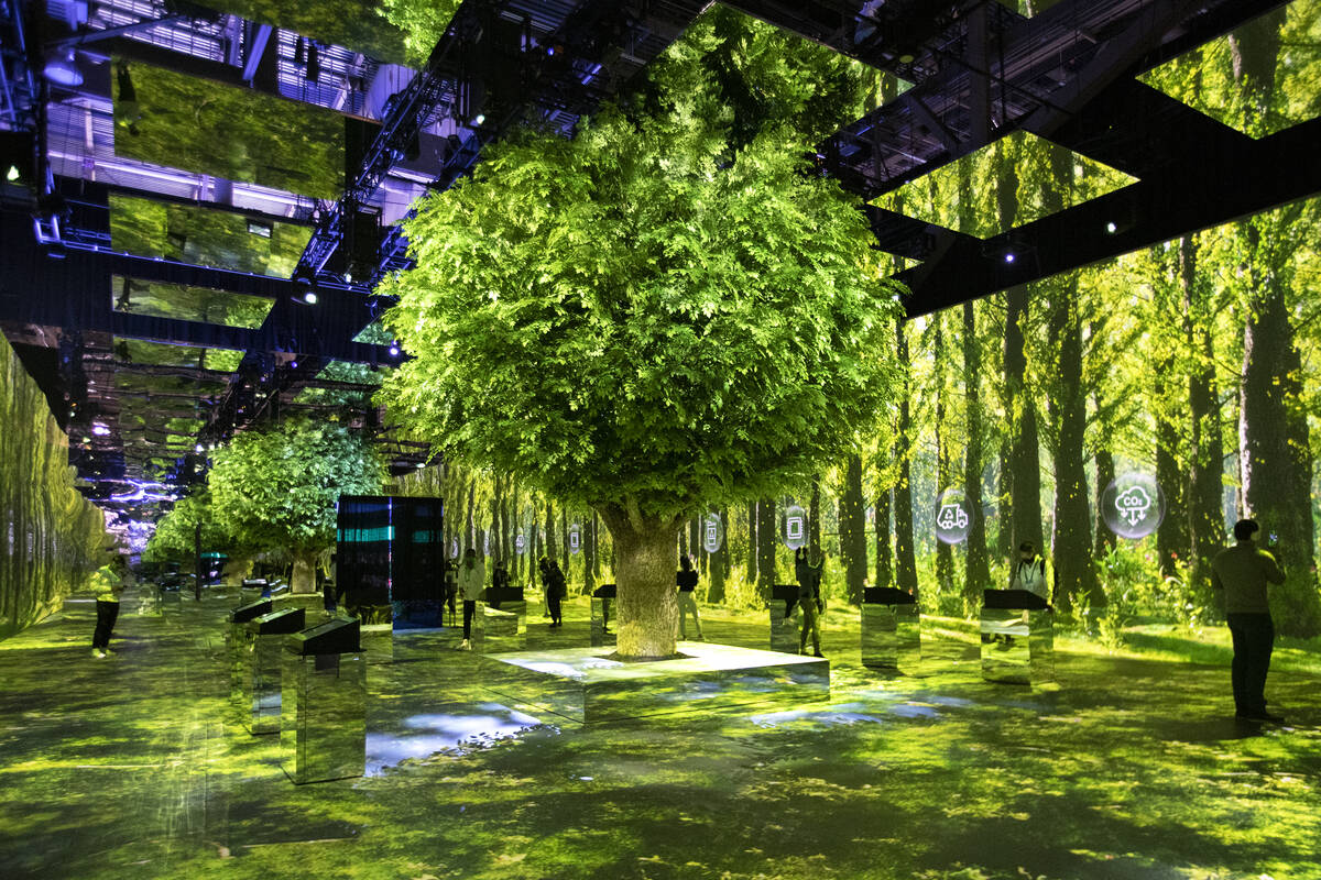 The “Green Forest” is part of SK Group’s presentation during the third day ...