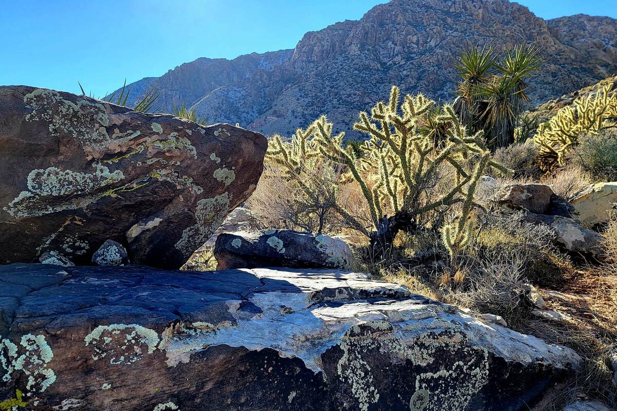 Along the trail, colorful lichens cling to the sides of some of the many boulders strewn about ...