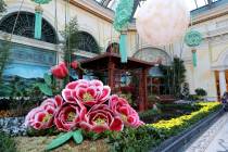 The Lunar New Year display at Bellagio Conservatory in Las Vegas Tuesday, Jan. 11, 2022. In hon ...