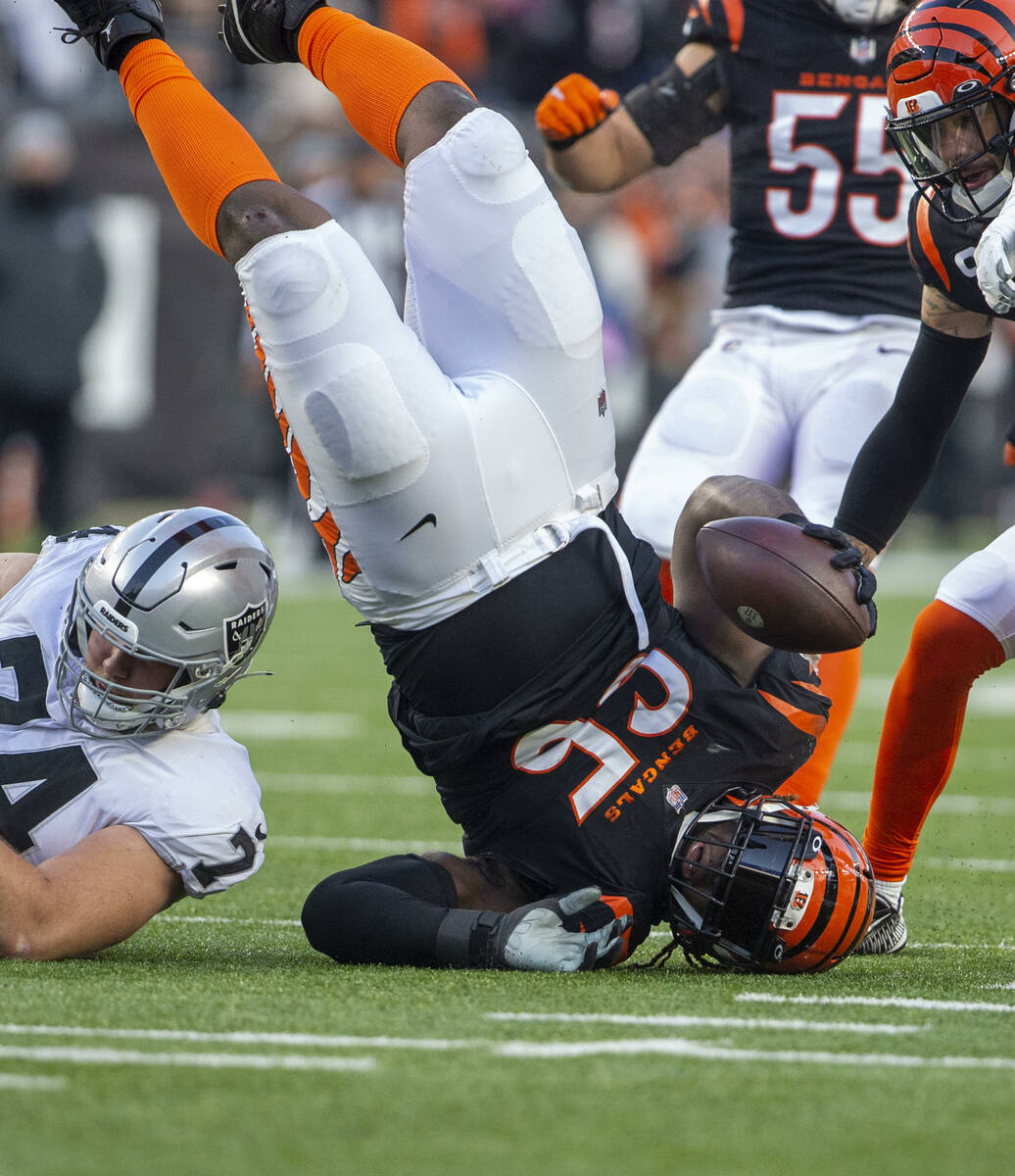 Cincinnati Bengals defensive tackle Larry Ogunjobi (65) holds on to a fumble recovery after bei ...