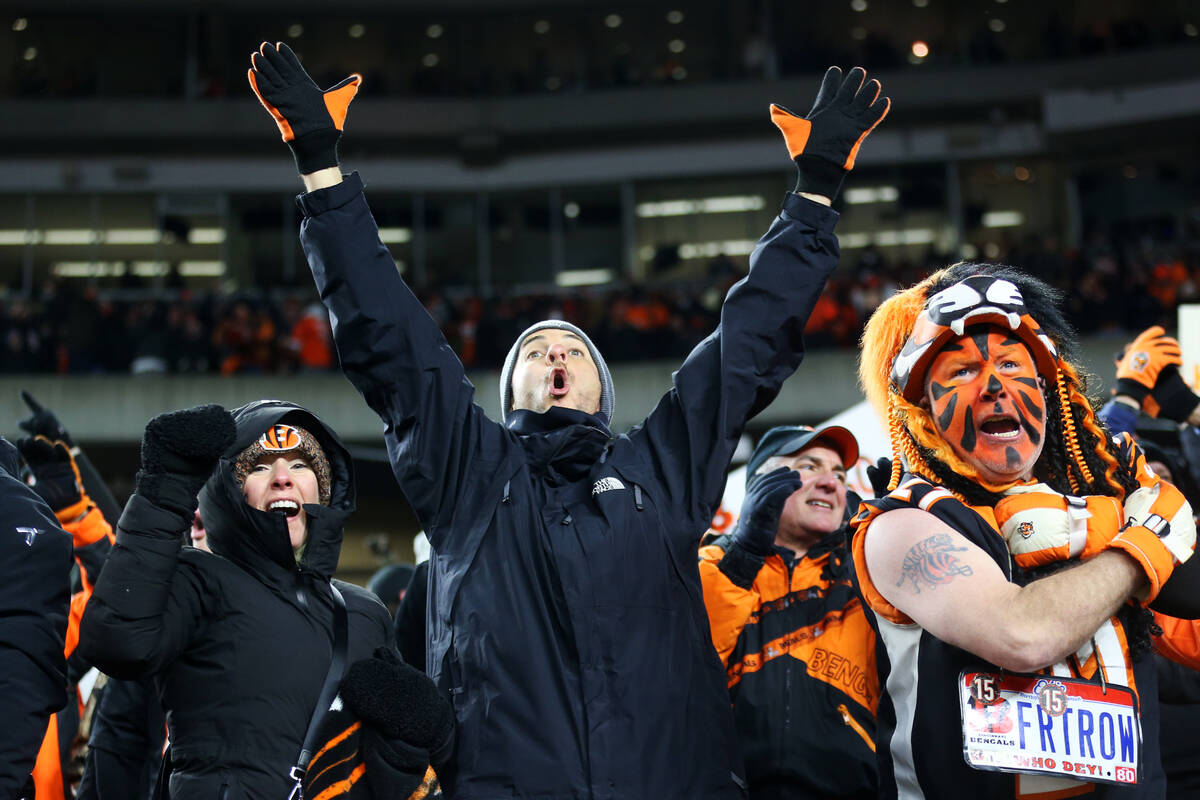 Fans celebrate the Cincinnati Bengals win over the Raiders in an NFL playoff game at Paul Brown ...