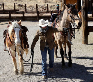 Wrangler Kellie Yager works with horses and mules at Cowboy Trail Rides in Red Rock Canyon Tues ...