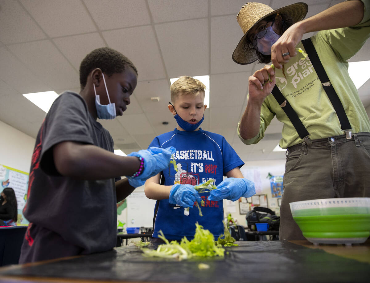 Antrell Montgomery, 9, from left, Ash Krouse, 10, and Joseph Zitello, garden educator for Green ...