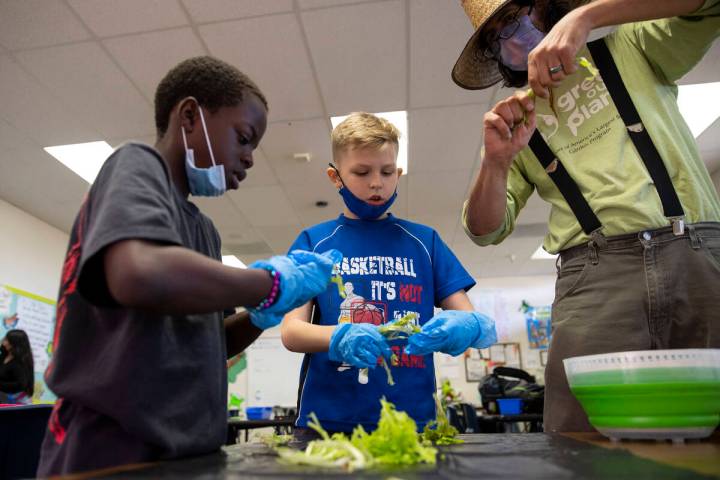 Antrell Montgomery, 9, from left, Ash Krouse, 10, and Joseph Zitello, garden educator for Green ...