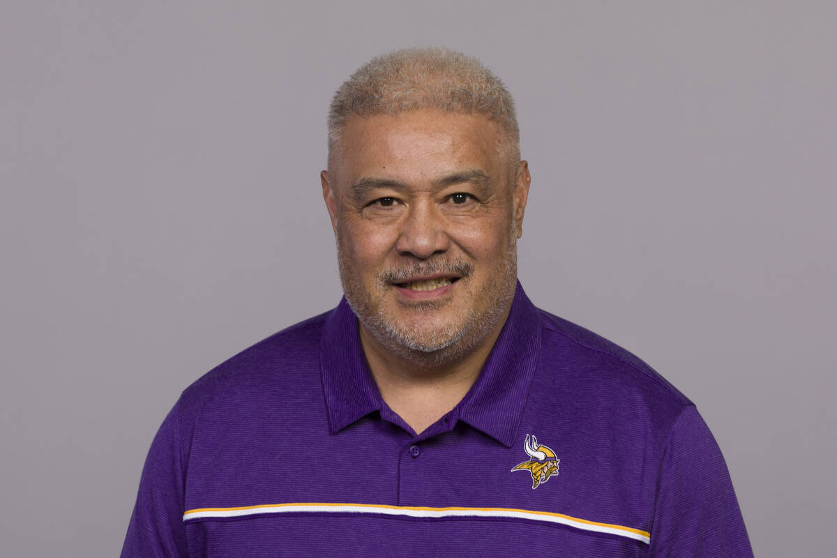 This is a photo of of the Minnesota Vikings NFL football team. This image reflects the Minnesot ...