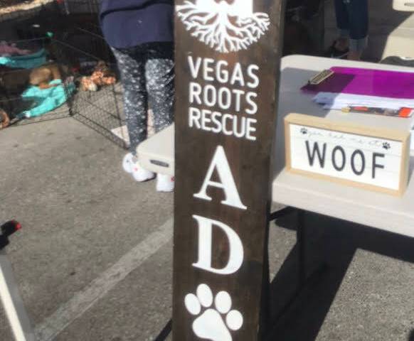 Vegas Roots Rescue is a nonprofit animal rescue focused on rescuing, rehabilitating and finding ...