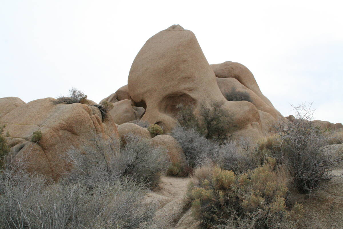 What started as small depressions made by water, over time have eroded the granite into what ap ...