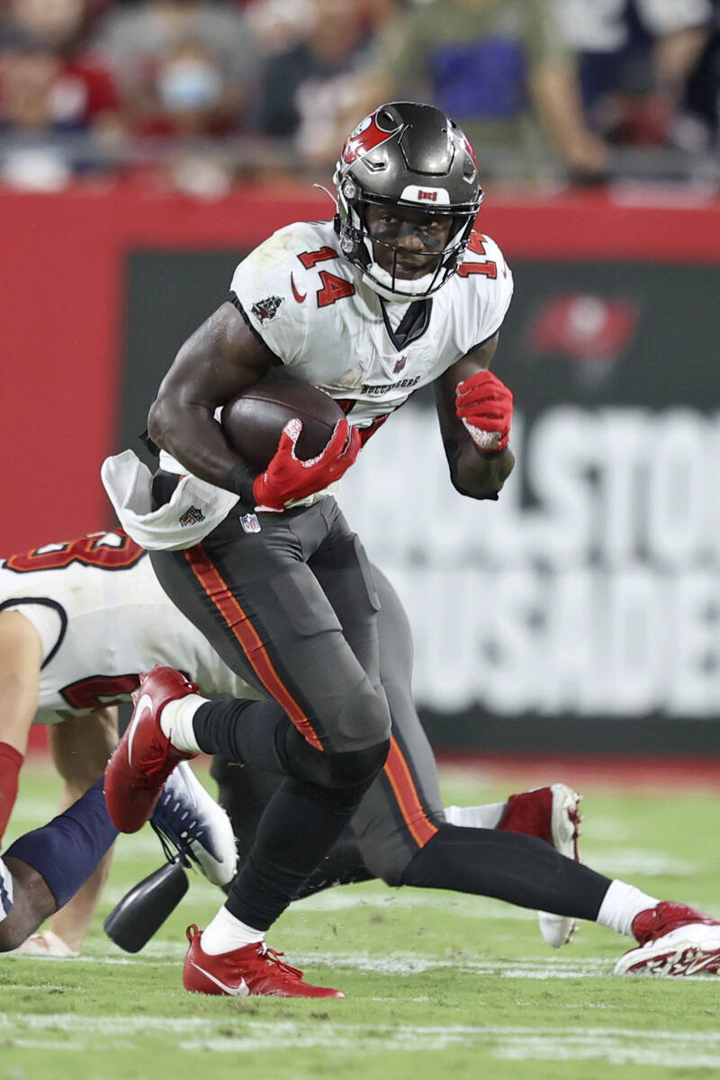 Tampa Bay Buccaneers wide receiver Chris Godwin (14) During an NFL football game against the Da ...