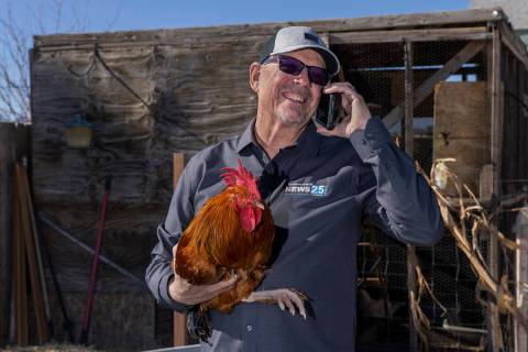 KPVM 25 co-owner Vern Van Winkle, even while holding a rooster, is never far from his phone out ...