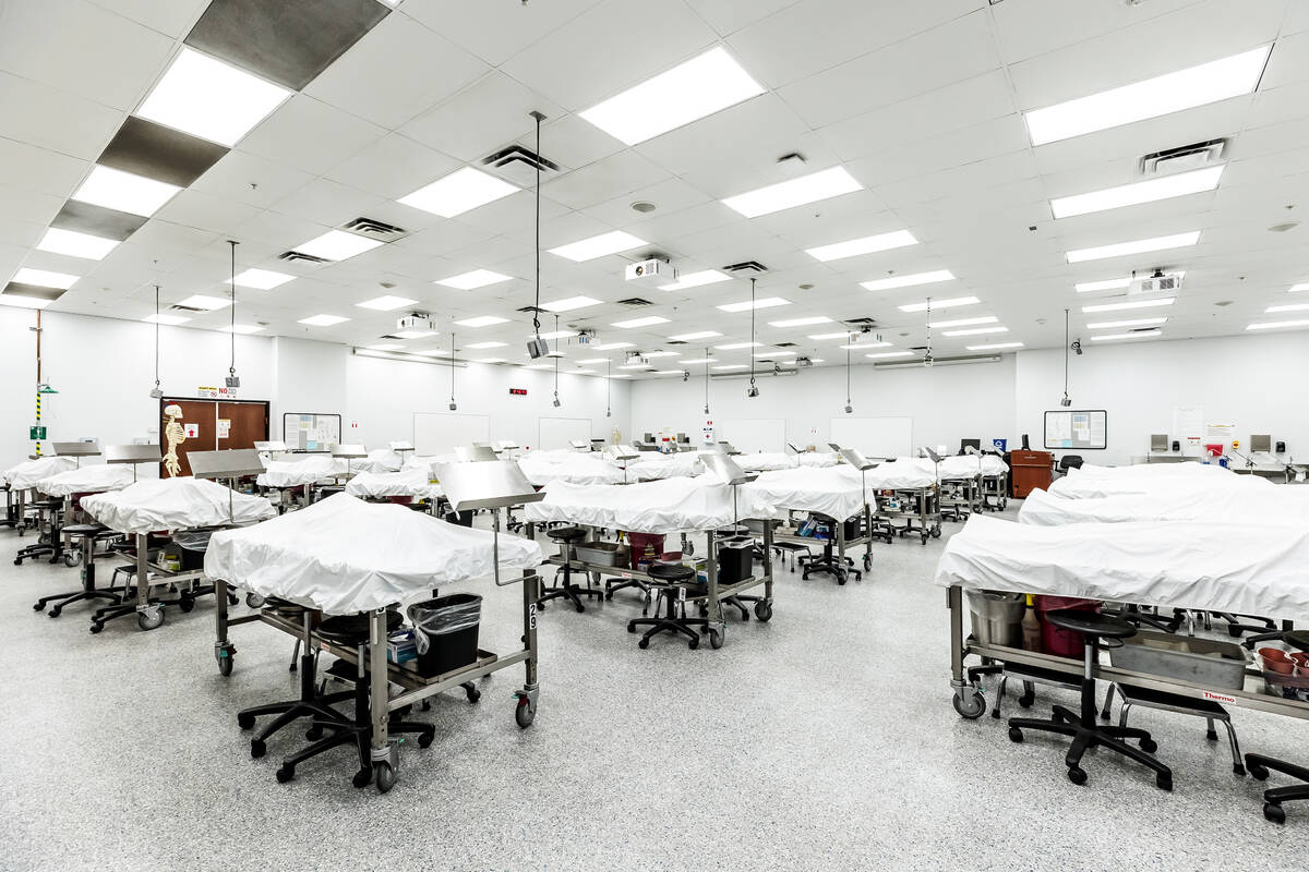 Touro University Nevada in Henderson provides a cadaver lab where its medical students study an ...
