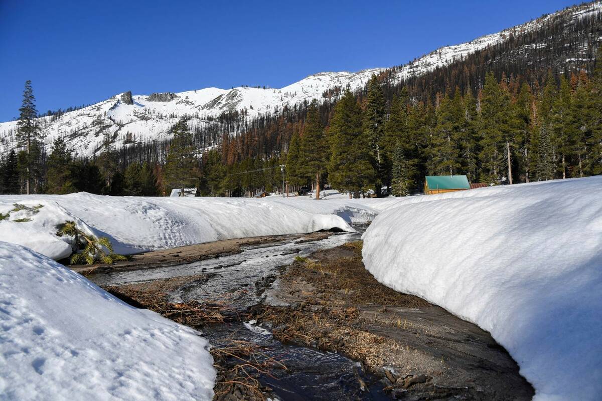 Snow melts into a creek flowing into the South Fork American River, near the where the Californ ...