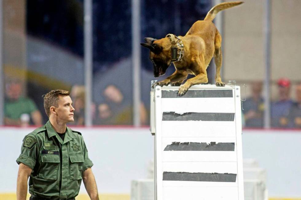 Brian Asay of the Utah Department of Corrections leads the K-9 Anubis through an obstacle durin ...