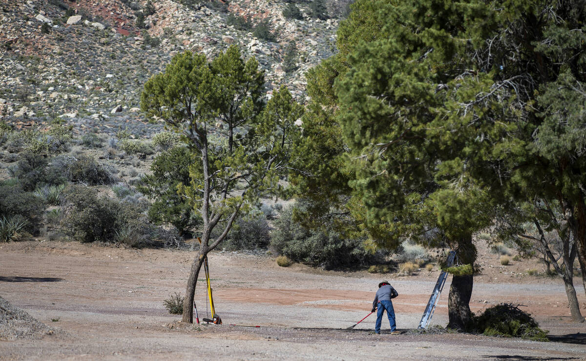 Landscaping work has begun for The Reserve at Red Rock Canyon, a luxury housing community at th ...