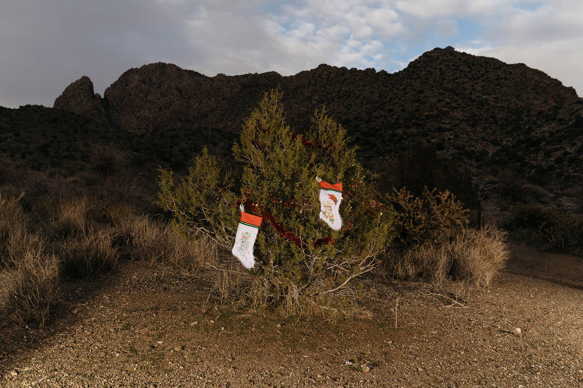 2022 view Christmas Tree Pass Found tree Avi Kwa Ame (Mikayla Whitmore)