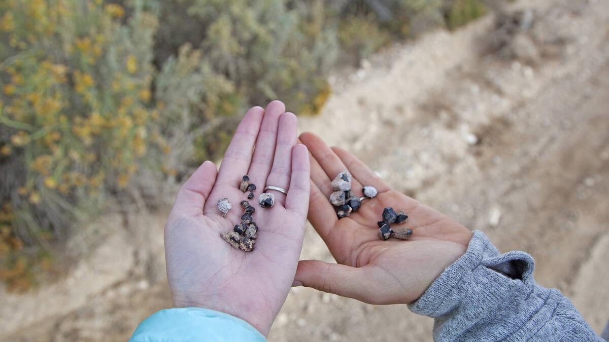 Handfuls of semi-precious garnet stones can be found at Garnet Hill, east of Ely, one of Travel ...