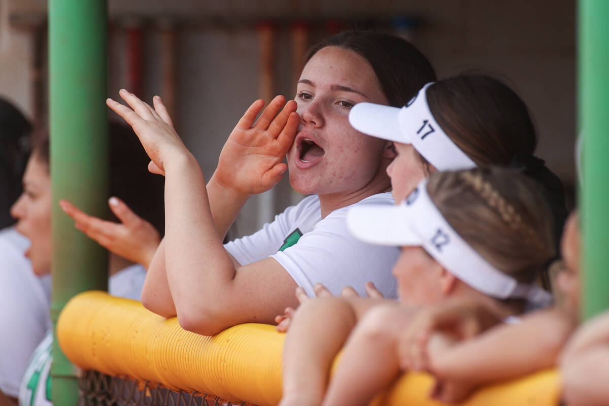 Palo Verde players cheer for their teammates during a girls high school softball game against G ...