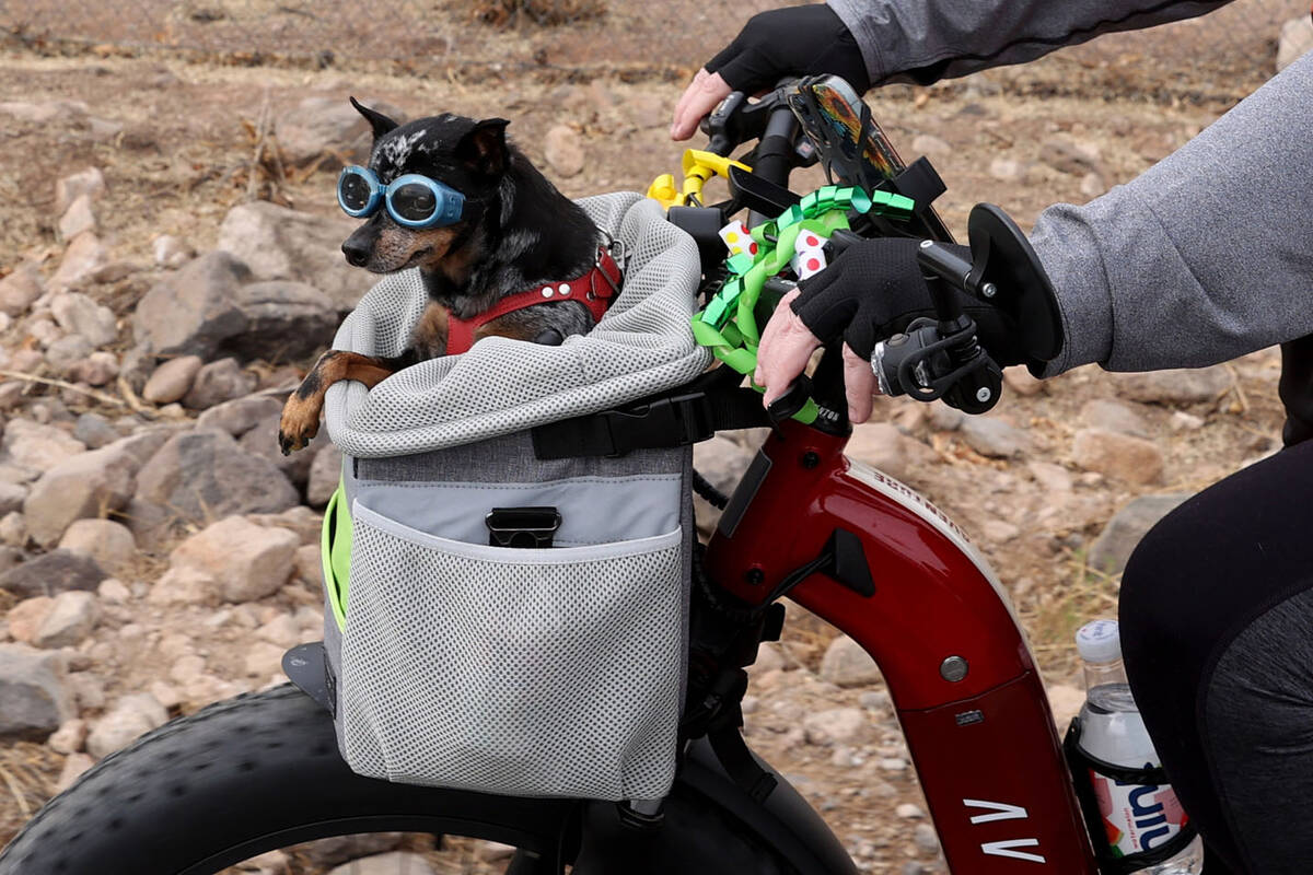 Lisa Magaro and her dog Venus ride their bike during the opening of The Harry Reid Union Pacifi ...