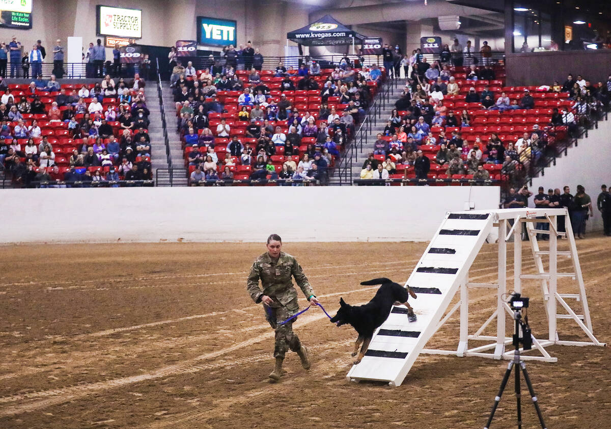 Kashea Estrada, with the Pleasant Grove, Utah, Police Department, guides her dog Django through ...