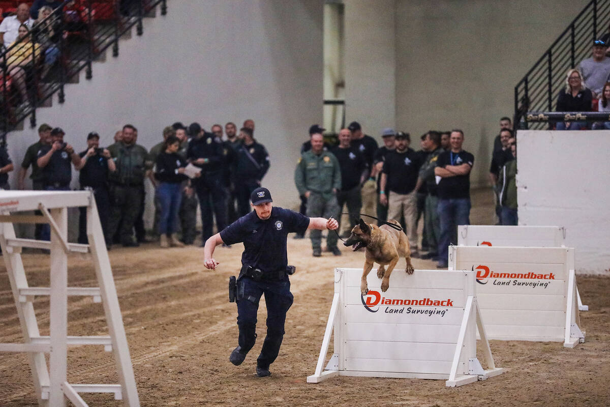 Wyatt Davis with the Spanish Fork Police Department, guides his dog Iceman through the agility ...