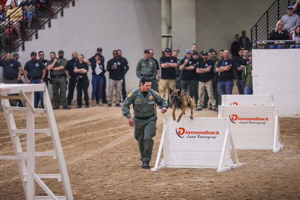 Vincent Diasparra, with the Las Vegas Metropolitan Police Department, guides his dog Spike thro ...