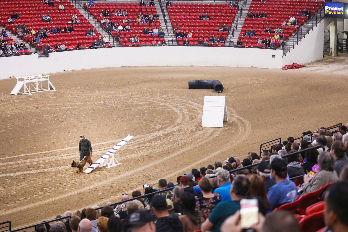 The agility obstacle course at the Las Vegas Metropolitan Police Department K-9 Trials at South ...