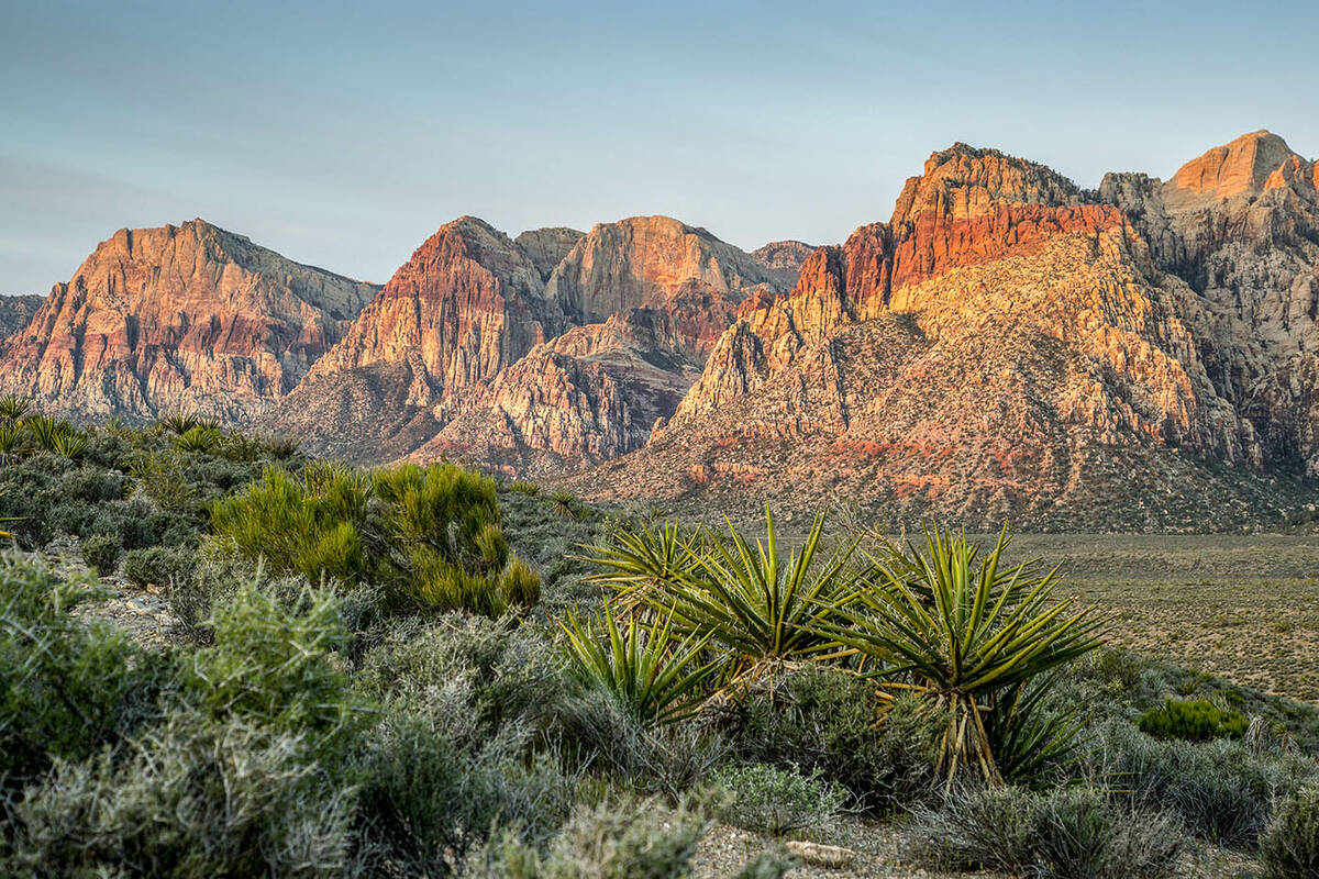 The Reserve at Red Rock Canyon, a 16-lot residential enclave on more than 60 acres, will be on ...