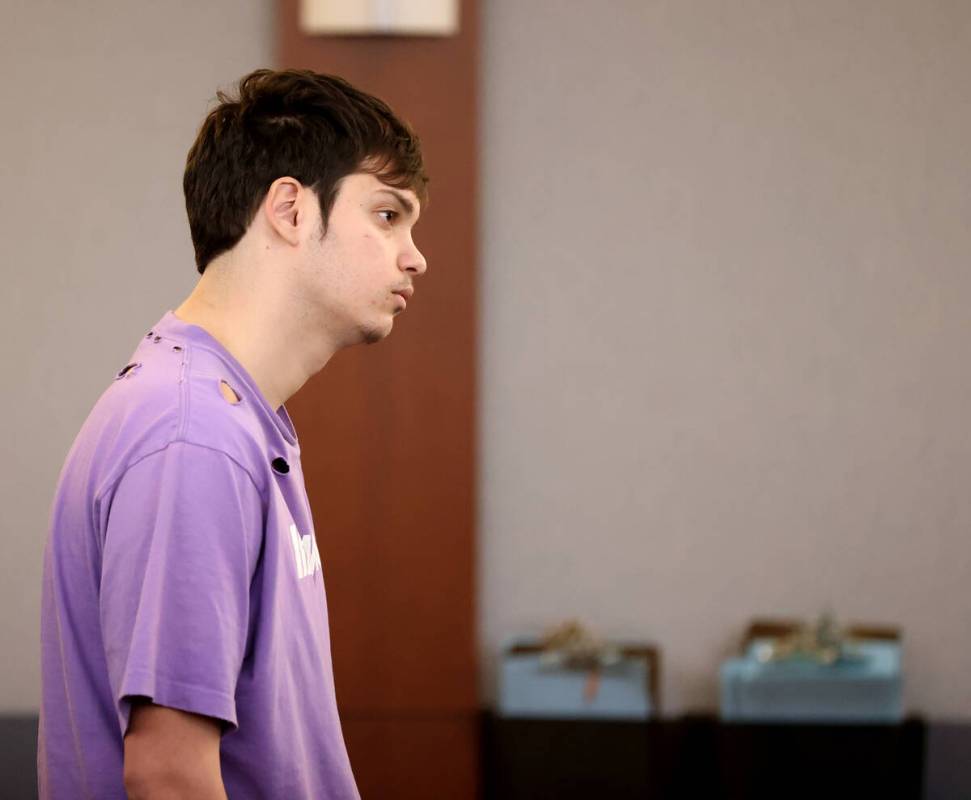 Filippos Liakounakos makes his initial court appearance at the Regional Justice Center in Las V ...