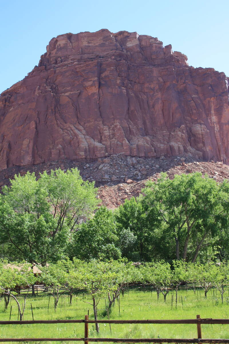 Fruit orchards are mostly concentrated within a mile or so of the visitor center in Fruita, Uta ...