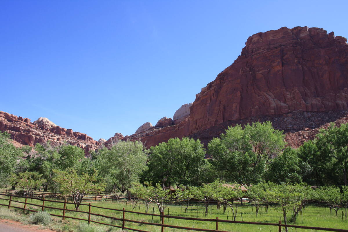 Fruit orchards are mostly concentrated within a mile or so of the visitor center in Fruita, Uta ...