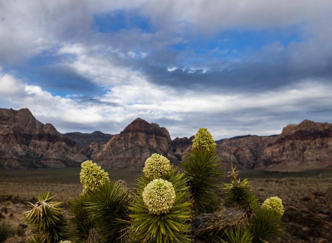 Clouds linger over Red Rock overlook on Monday, March 28, 2022, in Las Vegas. A mostly sunny an ...