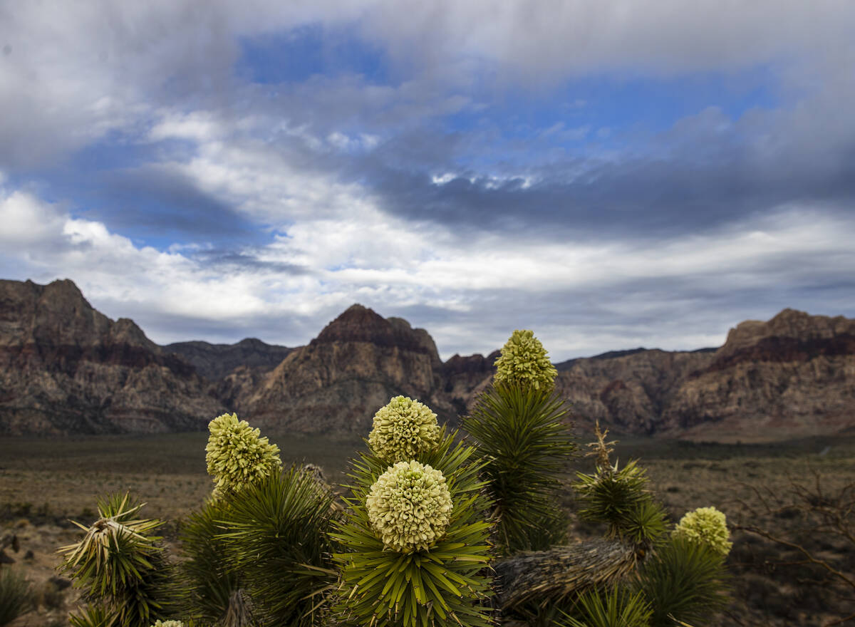 Clouds linger over Red Rock overlook on Monday, March 28, 2022, in Las Vegas. A mostly cloudy s ...