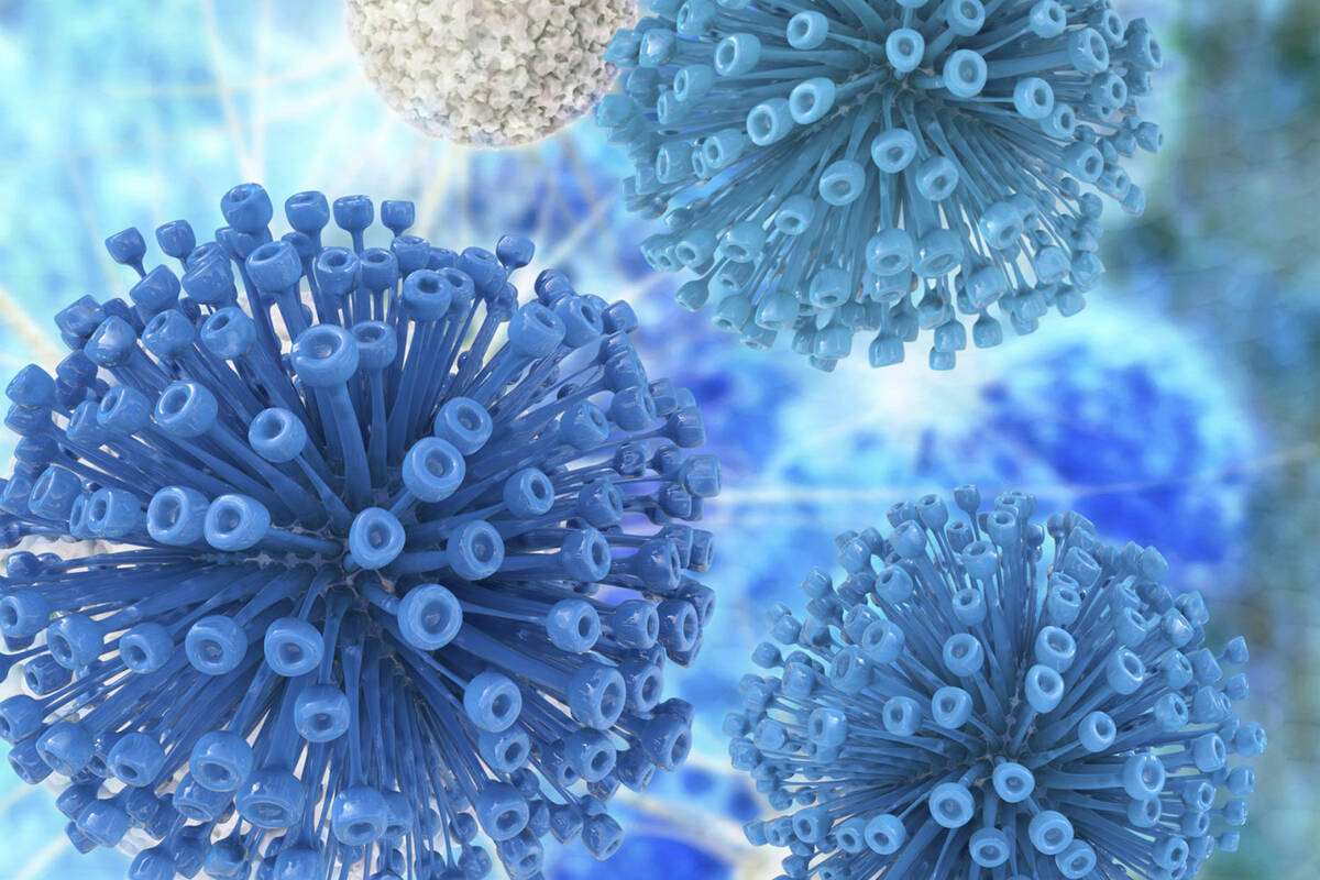 Utah menawarkan pelajaran dalam menanggapi virus corona |  PENGURANGAN