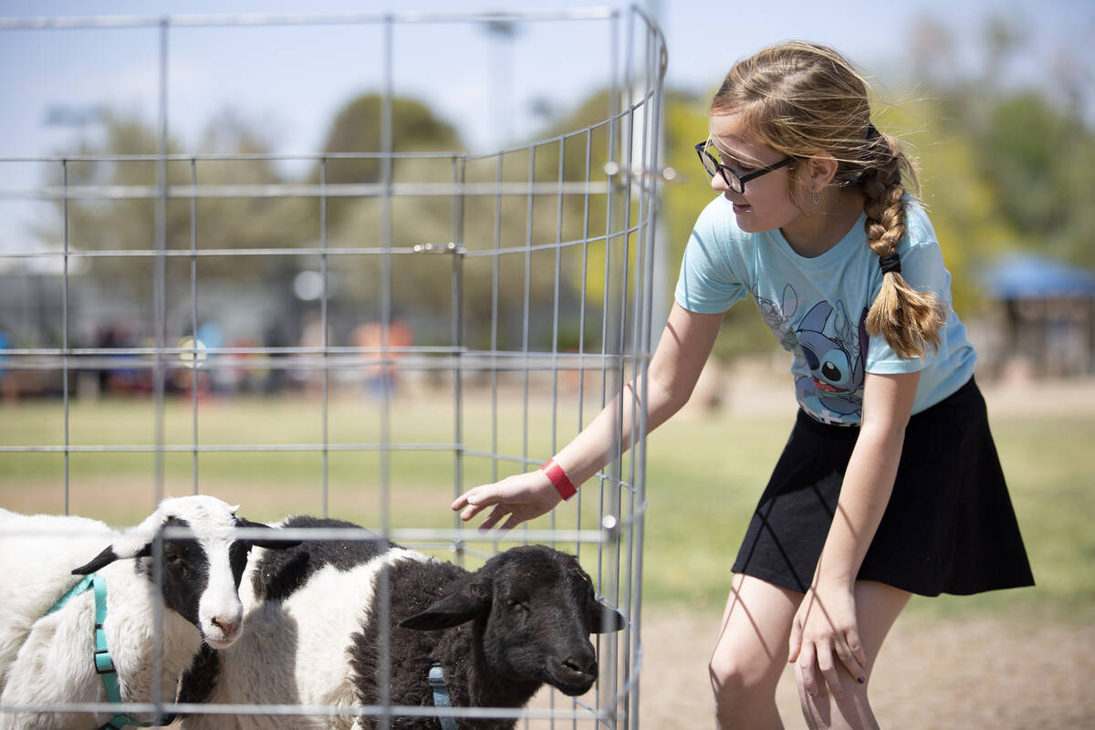 Zoey Hayden, 10, pets a goal during the Egg-Apalooza Easter event at the Paradise Recreational ...