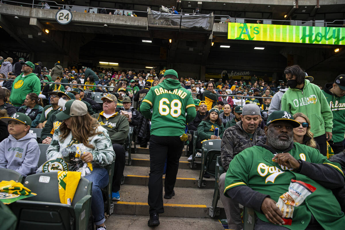 Oakland Athletics fans look on before the start of the opening night game against the Baltimore ...