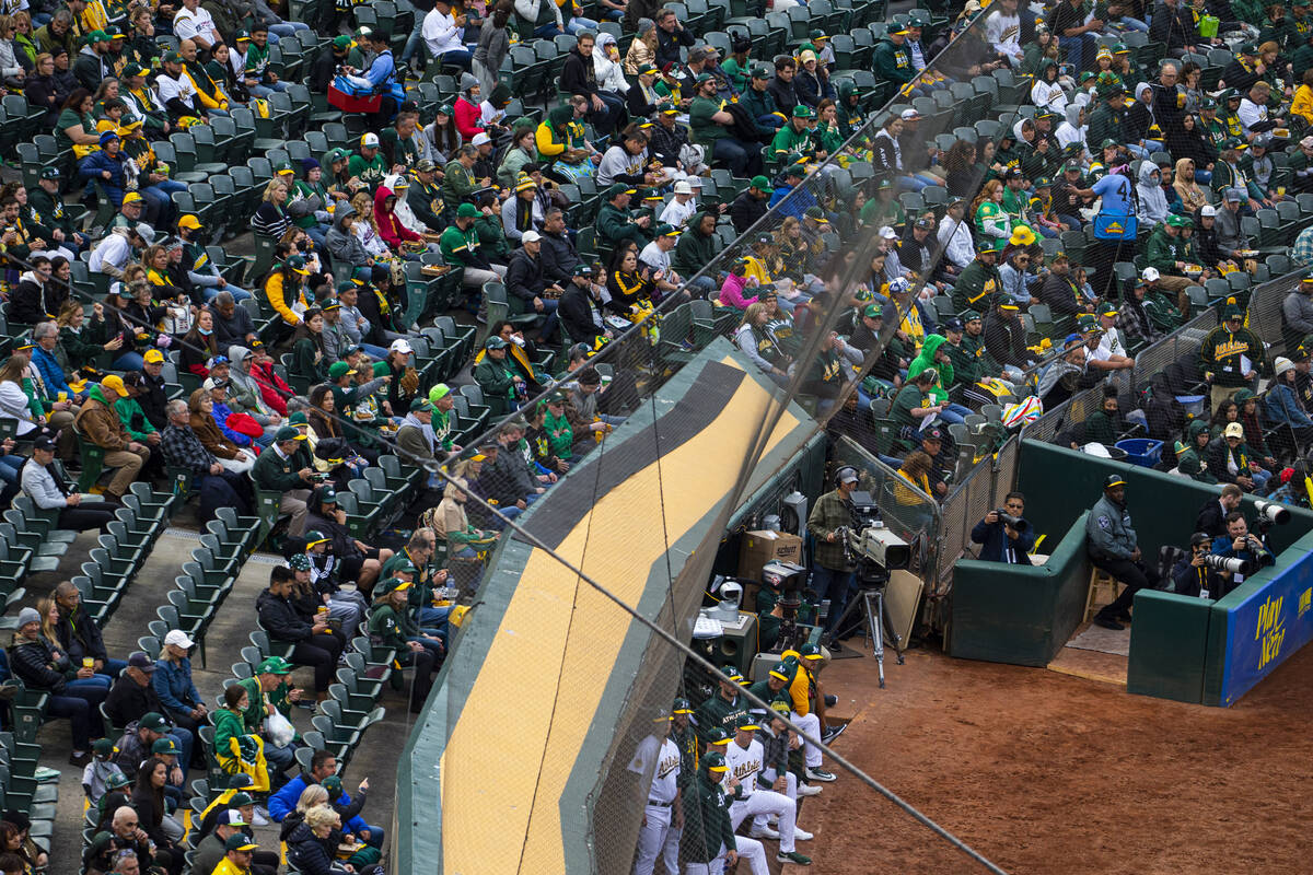 Oakland Athletics fans watch the opening night game against the Baltimore Orioles on Monday, Ap ...