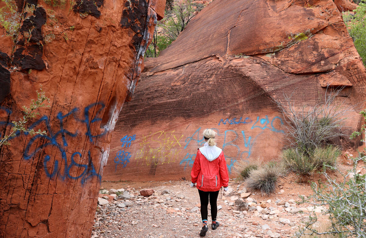 Heather Fisher, president of Save Red Rock, checks out new graffiti spray painted on rocks in t ...