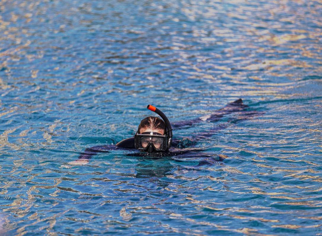 Divers scan the perimeter of the NFL Draft Red Carpet Stage at the Bellagio Fountains on Tuesda ...