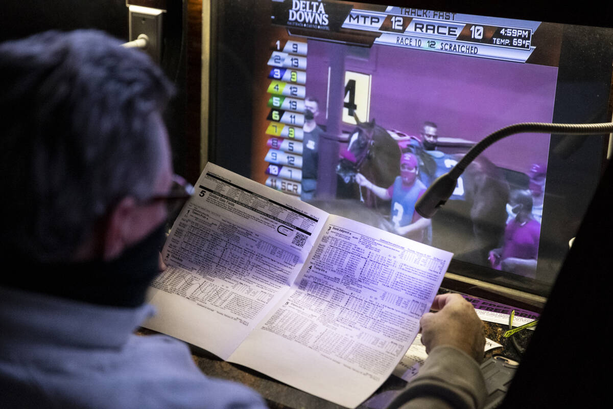 Bruce Kauffman of St. Petersburg, Fla., bids on horse races at the Westgate sportsbook in Las V ...